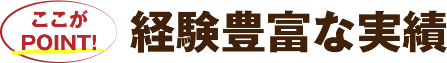 経験豊富な実績